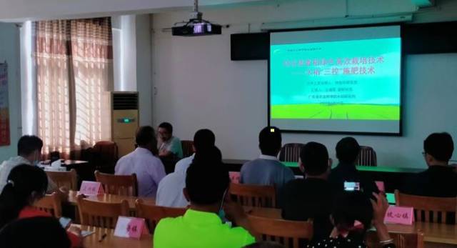 水稻生产技术培训现场。