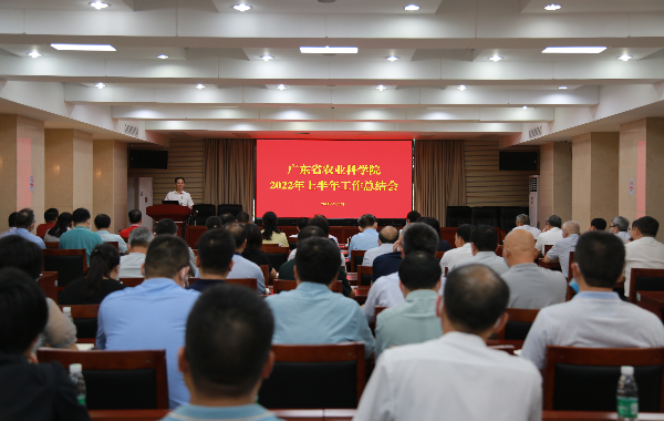 2022上半年工作总结会 会场.jpg