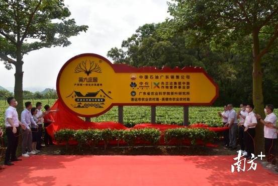 中国石油广东销售公司党委书记赵剑春、省农业科学院副院长何秀古、省农业科学院茶叶研究所所长唐劲驰等领导为英德红茶产供销一体化示范基地揭牌。通讯员供图