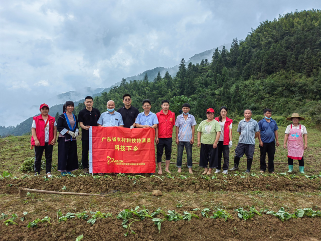 特派员团队在为村民示范种植