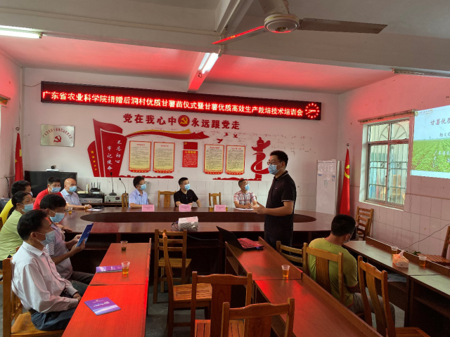 特派员团队作“甘薯高效生产栽培技术”专题培训