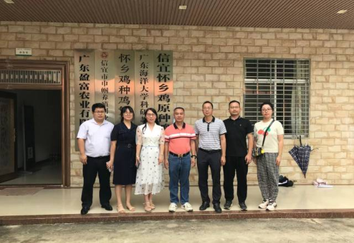 盈富公司交流指导