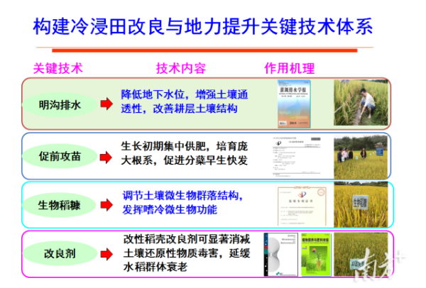 冷浸田治理技术说明。