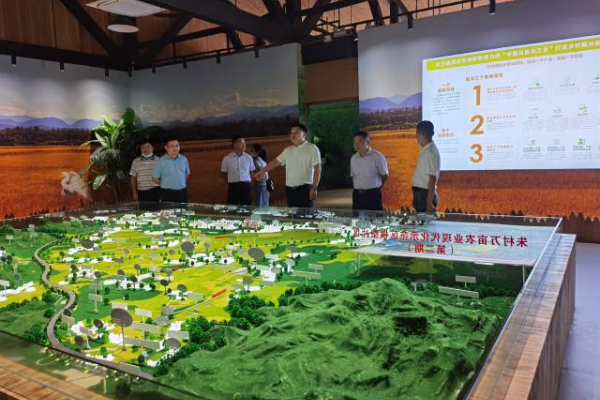 增城丝苗米产业园水稻公园现场。