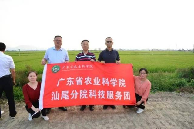 广东省农科院副院长何秀古（后排中）下乡开展“三农”服务。