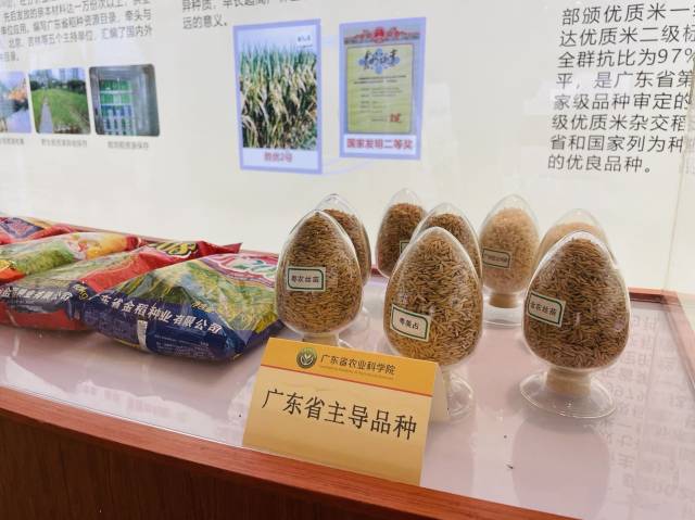 “十三五”以来，广东省农科院农业主导品种、主推技术在广东分别占比63.5%和70.2%