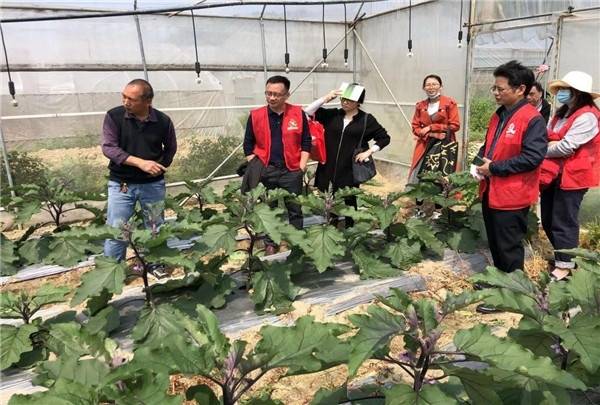 清远分院驻点人员前往佛冈县开展科技志愿服务。