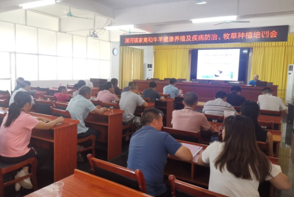 徐斌高级畜牧师授课