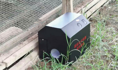 玉米鼠害绿色防控技术 (2).jpg