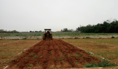 坡耕地甘薯深松栽培技术 (2).jpg