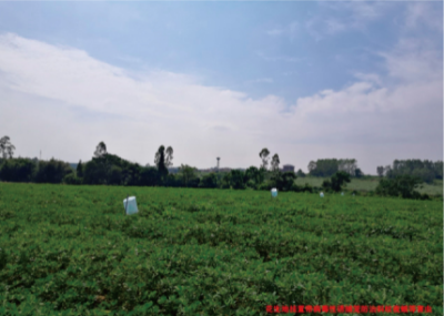 理化诱控鳞翅目害虫 (1).jpg