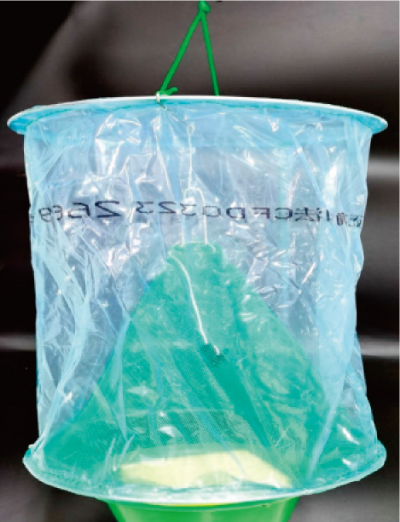 理化诱控鳞翅目害虫 (2).jpg