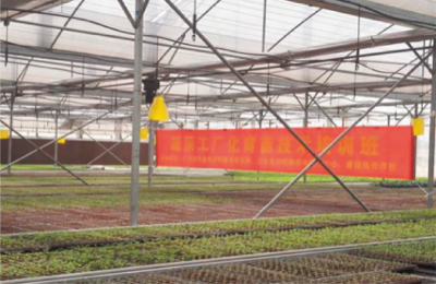 蔬菜工厂化育苗新技术 (2).jpg