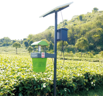 茶毛虫绿色防控技术 (1).jpg