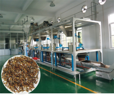 红茶加工生产技术.jpg