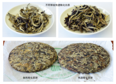茶叶快速陈化(醇化)技术.jpg