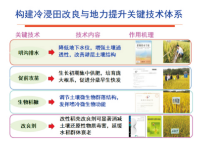 冷浸田改良与地力提升关键技术.jpg