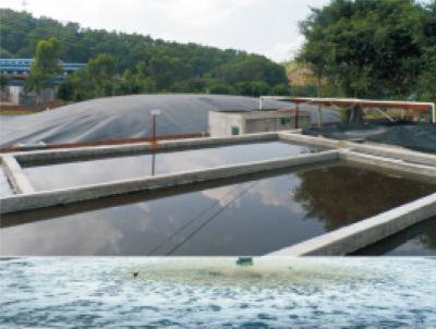 畜禽养殖废水生物-生态处理及资源化综合利用技术 (1).jpg