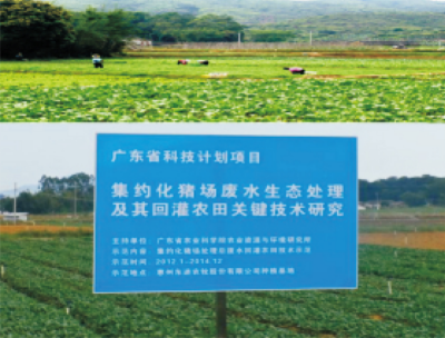 畜禽养殖废水生物-生态处理及资源化综合利用技术 (2).jpg