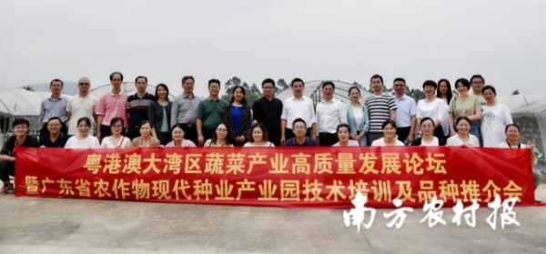粤港澳大湾区蔬菜产业高质量发展论坛暨广东省农作物现代种业产业园技术培训及品种推介会活动现场 粤港澳大湾区蔬菜产业高质量发展论坛暨广东省农作物现代种业产业园技术培训及品种推介会活动现场