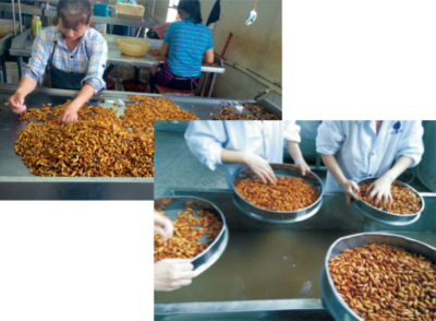 鲜茧缫丝蚕蛹即食和调理食品加工技术.jpg