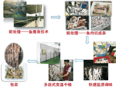 半干型鱼干周年生产技术.jpg