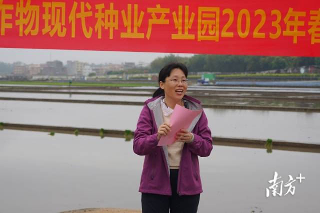 省农科院水稻所所长何秀英 省农科院水稻所所长何秀英