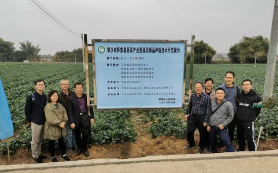 高效栽培技术示范展示 高效栽培技术示范展示