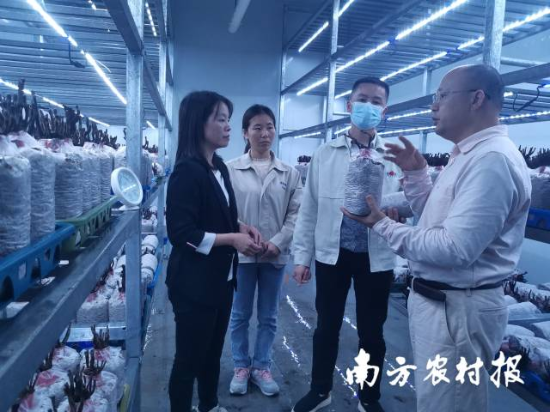 何焕清(右一)、肖自添(左一)到韶关市星河生物科技有限公司进行技术指导 何焕清(右一)、肖自添(左一)到韶关市星河生物科技有限公司进行技术指导