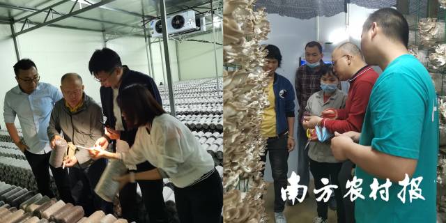 何焕清在基地讲解技术细节 何焕清在基地讲解技术细节