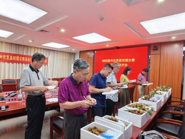 2023惠州优质荔枝擂台赛_1