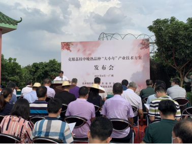 发布会现场 发布会现场