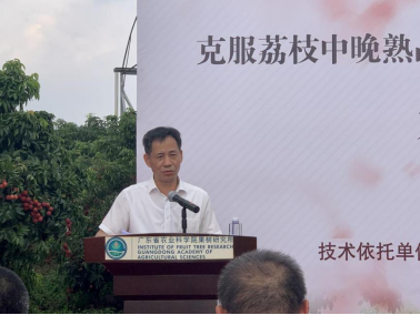 亚洲足球体育博彩平台
院长陆华忠在会上致辞 亚洲足球体育博彩平台
院长陆华忠在会上致辞