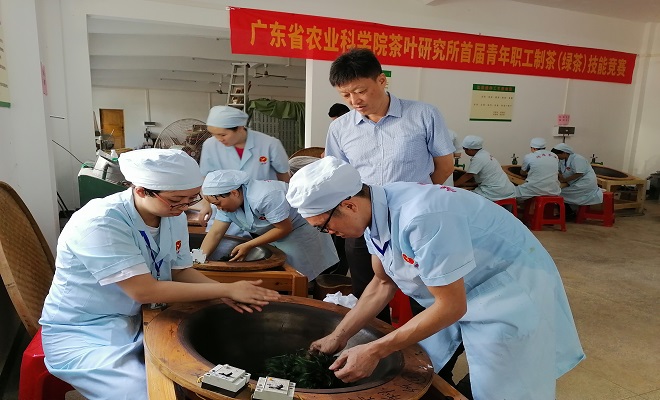 2021.9.4茶叶所开展首届青年职工制茶（绿茶）技能竞赛—杀青.jpg