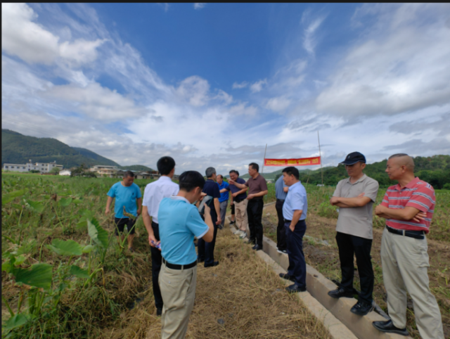 田间指导现场 田间指导现场