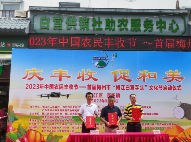 签约现场 签约现场