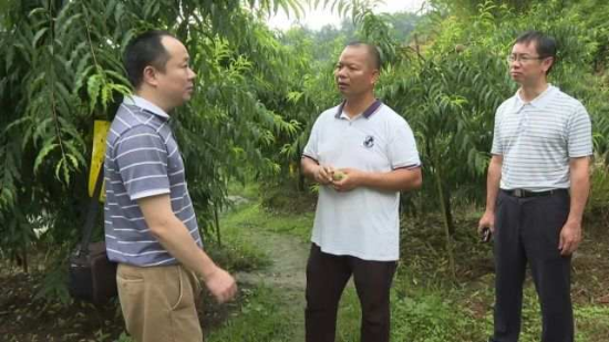 1696932106992941.jpg?x-oss-process=style/w10 641.jpg?x-oss-process=style/w10