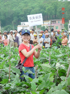 蔬菜所茄果类研究团队研究员孙保娟刚入职时在田间推广“农夫”长茄。 蔬菜所茄果类研究团队研究员孙保娟刚入职时在田间推广“农夫”长茄。