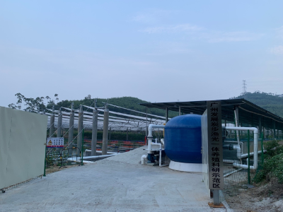 广州发展新能源广州花都炭步渔光一体项目 广州发展新能源广州花都炭步渔光一体项目