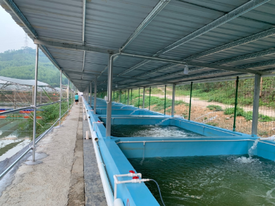 标准化网格养鱼 标准化网格养鱼