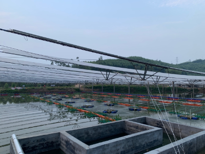 水产所自主研发的第三代“回字形”悬浮吸附桩 水产所自主研发的第三代“回字形”悬浮吸附桩