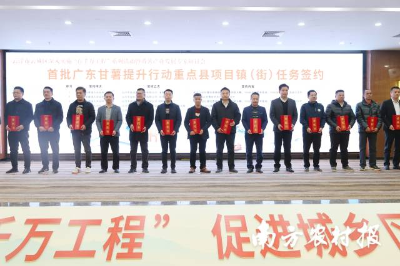 首批广东甘薯提升行动重点县项目镇(街)任务签约。 首批广东甘薯提升行动重点县项目镇(街)任务签约。