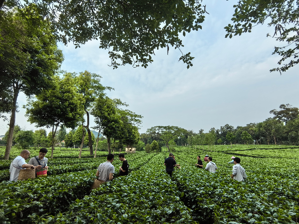 与长湖发电公司安全生产部党支部2024.4 (1).jpg