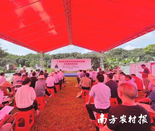 广州市豇豆绿色防控标准化种植示范基地现场会 广州市豇豆绿色防控标准化种植示范基地现场会