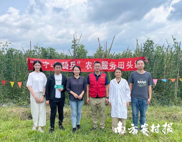 轻骑兵田头课讲解豇豆绿色种植标准化技术 轻骑兵田头课讲解豇豆绿色种植标准化技术