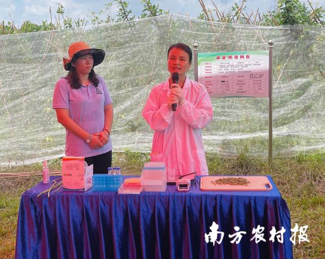 亚洲足球体育博彩平台
农业质量标准与监测技术研究所黄聪灵演示豇豆农残检测流程 亚洲足球体育博彩平台
农业质量标准与监测技术研究所黄聪灵演示豇豆农残检测流程