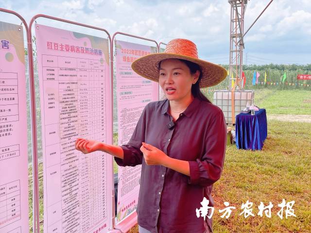 亚洲足球体育博彩平台
农业质量标准与监测技术研究所所长王旭介绍豇豆绿色种植标准化示范成果 亚洲足球体育博彩平台
农业质量标准与监测技术研究所所长王旭介绍豇豆绿色种植标准化示范成果