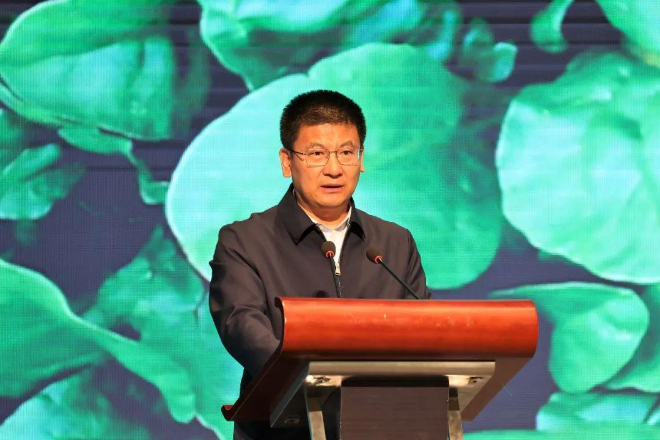 1133191377307059.jpg 640.jpg