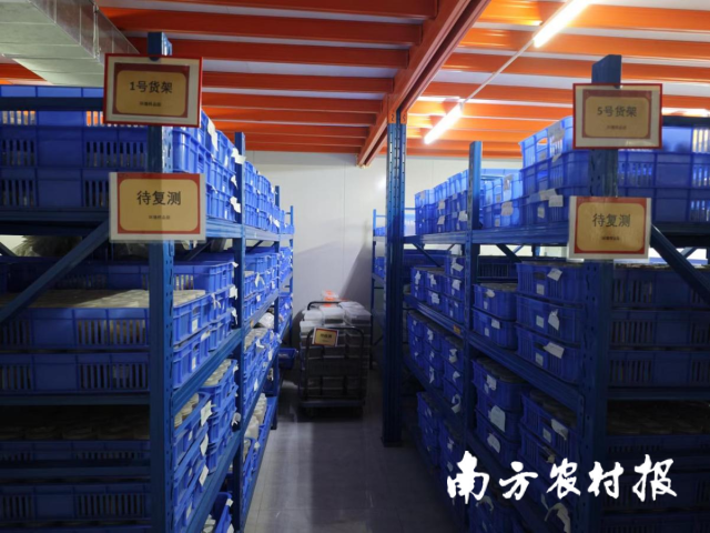 陈列的土壤样品 陈列的土壤样品