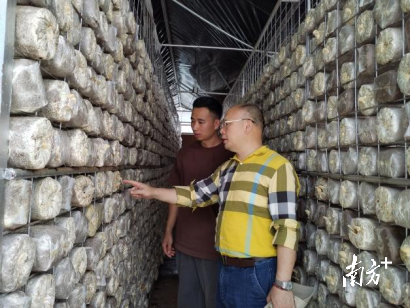 连南瑶族自治县盛瑶生物科技发展有限公司种植基地。